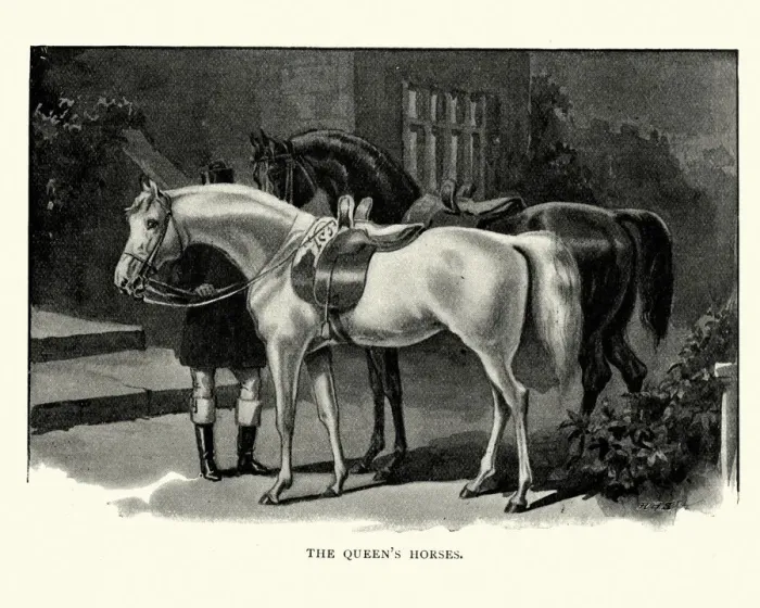 Framed Print : Queen Victorias Horses Framed Print : Queen Victorias Horses