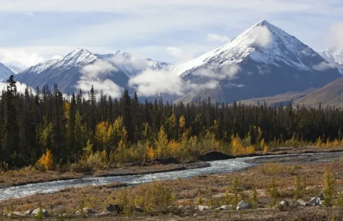 Framed Print : Quill Creek, Indian summer, leaves in fall colours, autumn, St. Elias Mountains, Kluane National Park and Reserve behind, Yukon Territory, Canada Framed Print : Quill Creek, Indian summer, leaves in fall colours, autumn, St. Elias Mountains, Kluane National Park and Reserve behind, Yukon Territory, Canada