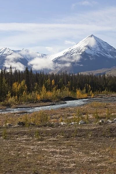 Quill Creek, Indian summer, leaves in fall colours, autumn, St. Elias Mountains, Kluane National Park and Reserve behind, Yukon Territory, Canada