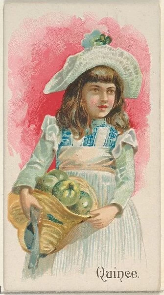 Quince Trade Card 1891