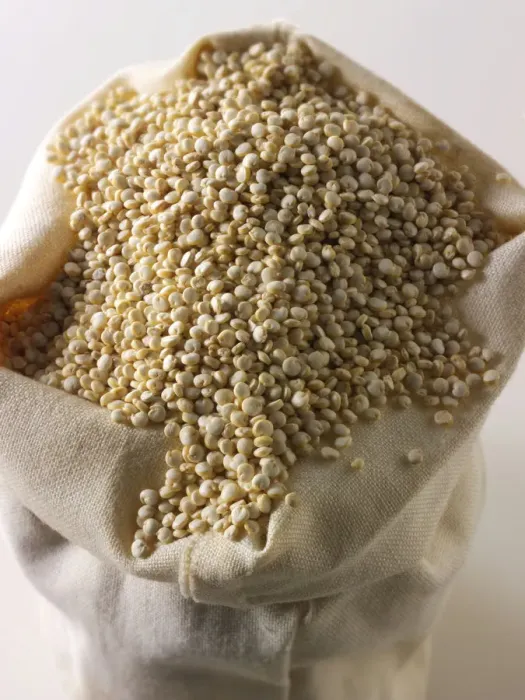 Framed Print : Quinoa grains Framed Print : Quinoa grains