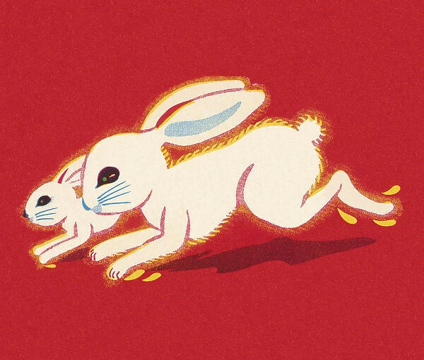 Rabbit and Bunny Running