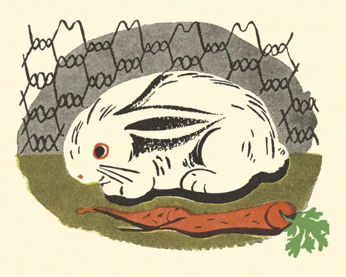 Framed Print : Rabbit in a Cage Framed Print : Rabbit in a Cage