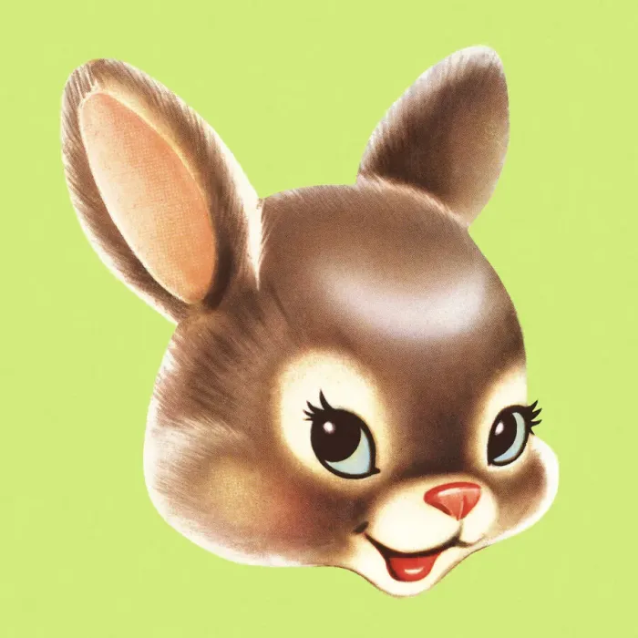 Framed Print : Rabbit Head