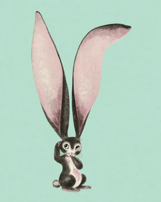 Framed Print : Rabbit with Huge Ears Framed Print : Rabbit with Huge Ears