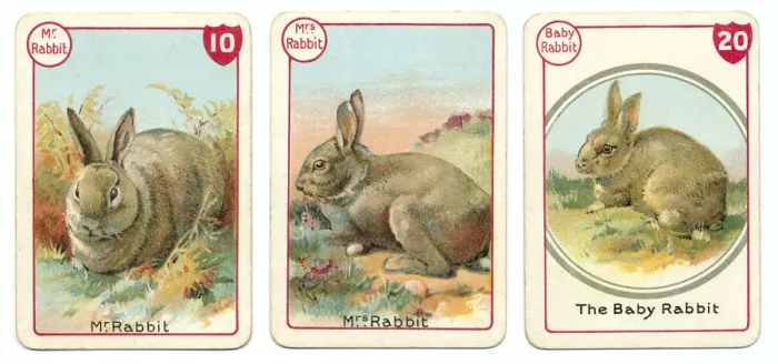 Framed Print : Three rabbit playing cards Victorian animal families game Framed Print : Three rabbit playing cards Victorian animal families game