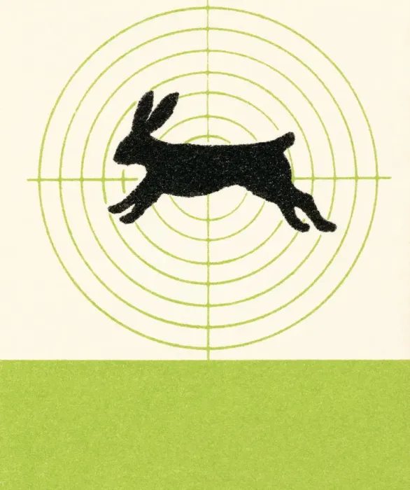 Framed Print : Rabbit in scope Framed Print : Rabbit in scope