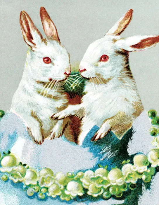 Framed Print : Rabbits. http: / / csaimages.com / images / istockprofile / csa_vector_dsp.jpg Framed Print : Rabbits. http: / / csaimages.com / images / istockprofile / csa_vector_dsp.jpg