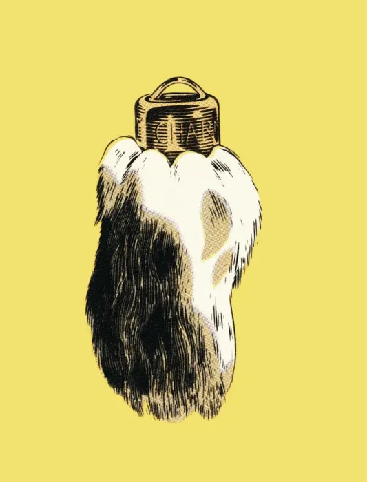 Framed Print : Rabbits foot