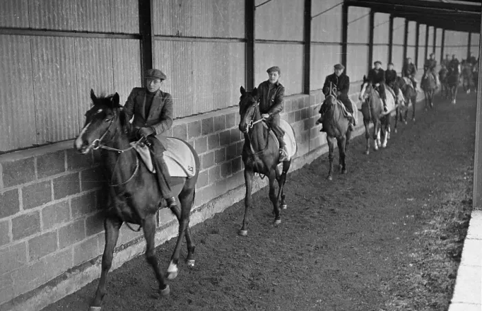 Framed Print : Racehorse Exercise Framed Print : Racehorse Exercise