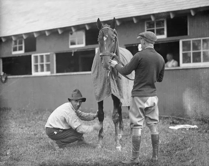 Framed Print : Racehorse Man O War Being Conditioned Framed Print : Racehorse Man O War Being Conditioned