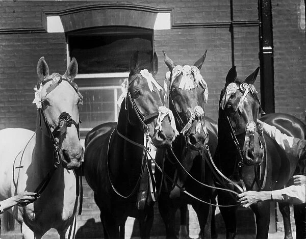 Four Racehorses