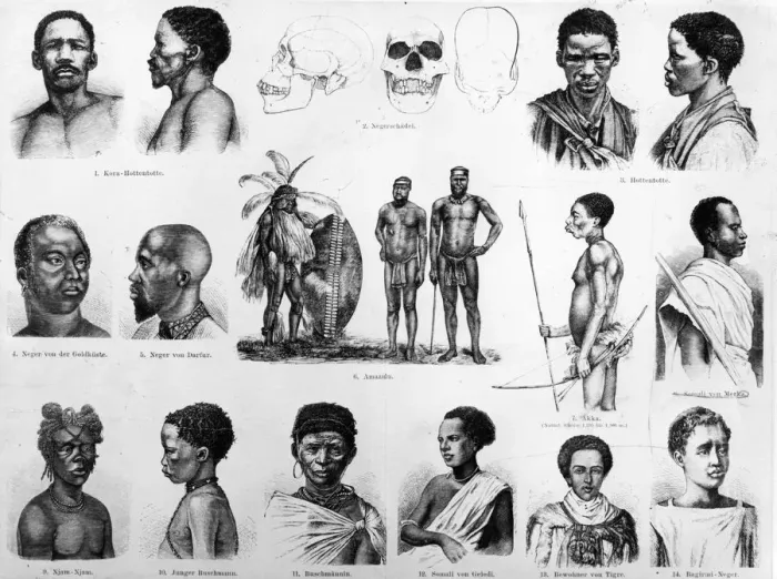 Framed Print : Racial Study Framed Print : Racial Study