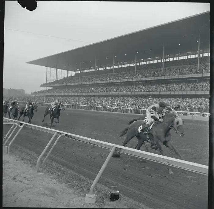 Framed Print : Racing Action at Aqueduct Framed Print : Racing Action at Aqueduct