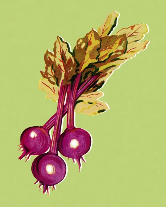 Framed Print : Radishes Framed Print : Radishes