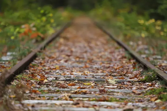 Framed Print : Railroad tracks in autumn, New Hampshire, USA Framed Print : Railroad tracks in autumn, New Hampshire, USA