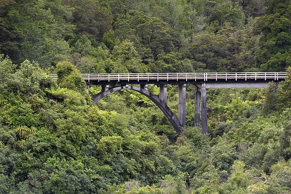 Railway bridge in the jungle, Charleston, West Coast Region, New Zealand