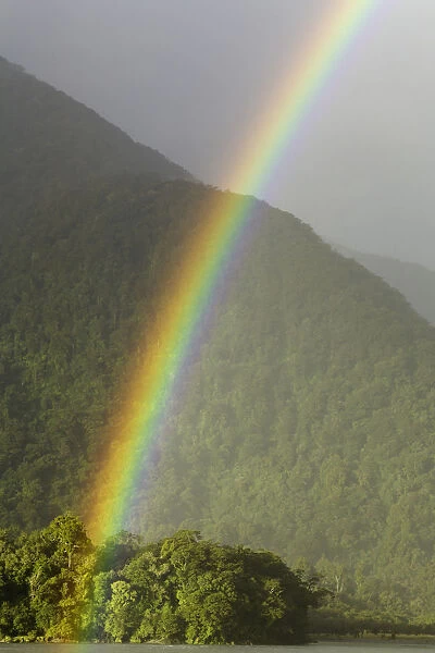Rainbow over Hst River and native bush, N. Z
