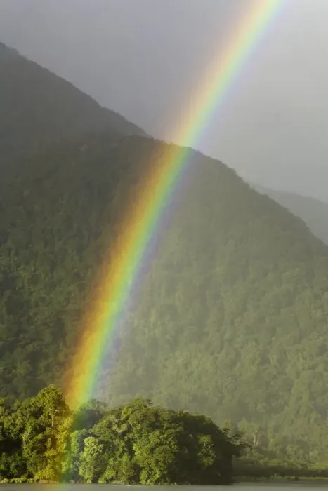 Framed Print : Rainbow over Hst River and native bush, N. Z Framed Print : Rainbow over Hst River and native bush, N. Z