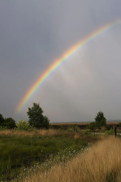 Rainbow over the moor, Haren, Emsland, Lower Saxony, Germany, Europe