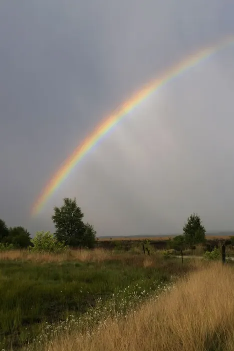 Framed Print : Rainbow over the moor, Haren, Emsland, Lower Saxony, Germany, Europe Framed Print : Rainbow over the moor, Haren, Emsland, Lower Saxony, Germany, Europe