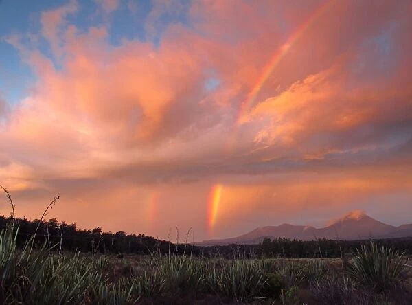 Rainbow at sunset, Mt Ngauruhoe, New Zealand