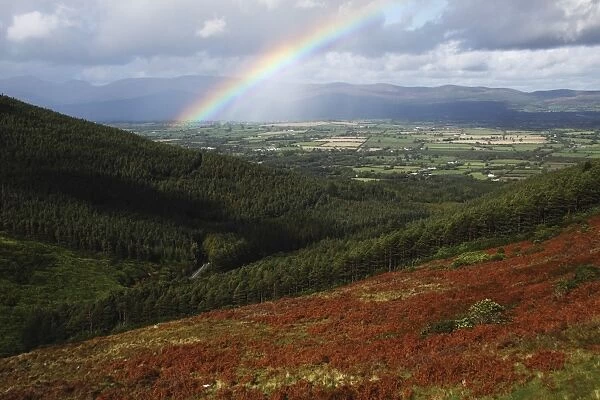 rainbow over the vee in munster province