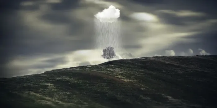 Framed Print : Raining in one tree, imagination landscape Framed Print : Raining in one tree, imagination landscape