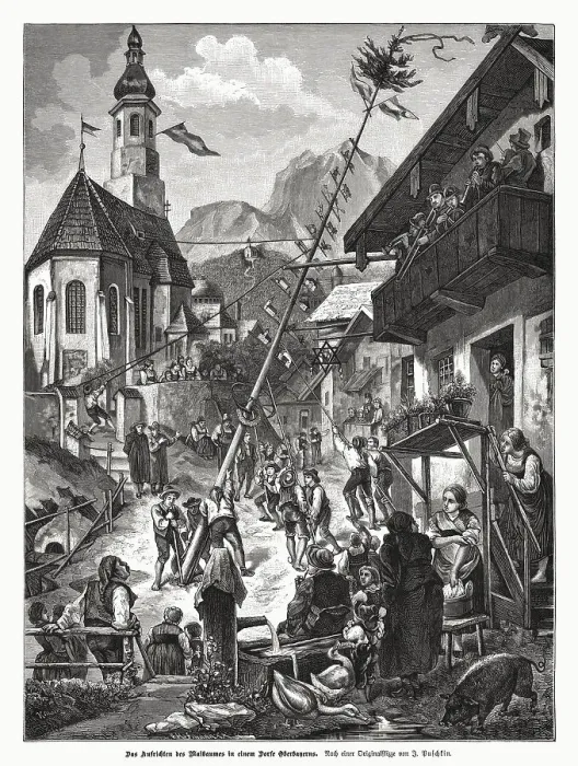 Framed Print : Raising of a maypole in Bavaria, Germany, woodcut, published 1885 Framed Print : Raising of a maypole in Bavaria, Germany, woodcut, published 1885