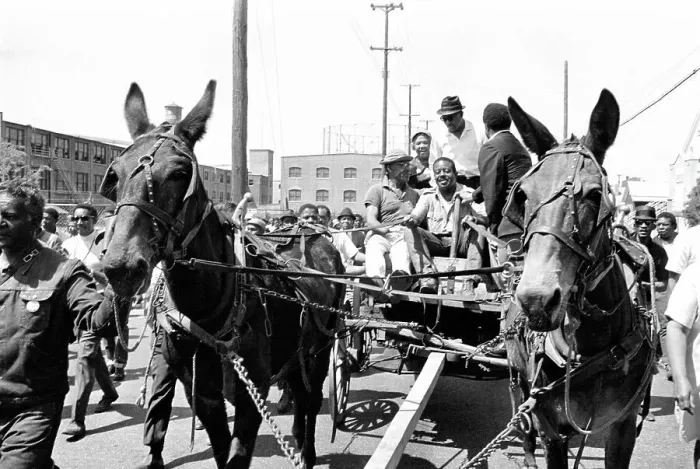 Framed Print : Ralph Abernathy Driving Wagon During Civil Rights March Framed Print : Ralph Abernathy Driving Wagon During Civil Rights March