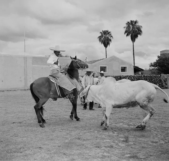 Framed Print : Ranching in Michoacan, Mexico Framed Print : Ranching in Michoacan, Mexico