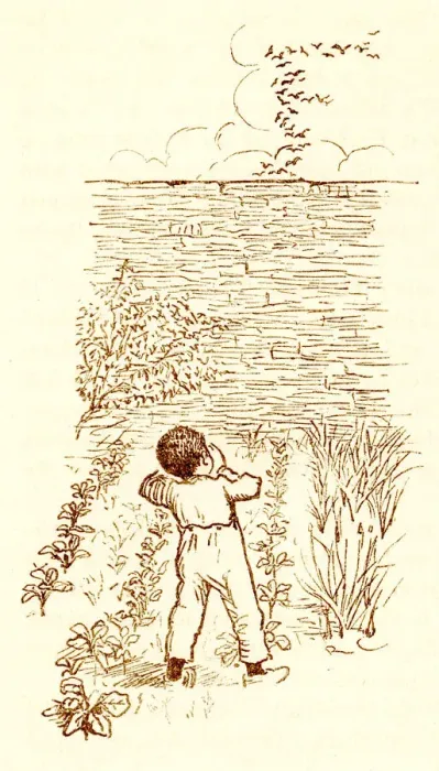 Framed Print : Randolph Caldecott sketch of a small Victorian boy scaring birds Framed Print : Randolph Caldecott sketch of a small Victorian boy scaring birds