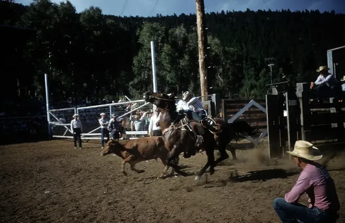 Framed Print : RAPID CITY RODEO Framed Print : RAPID CITY RODEO