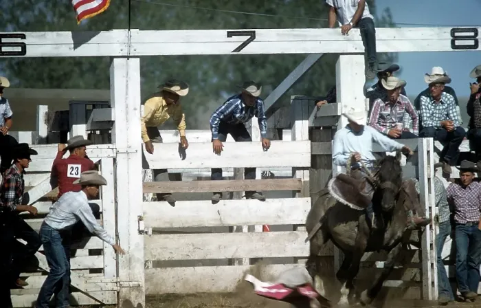 Framed Print : RAPID CITY RODEO Framed Print : RAPID CITY RODEO