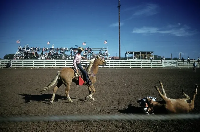 Framed Print : RAPID CITY RODEO Framed Print : RAPID CITY RODEO