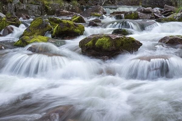 Rapids in the river Njupan, Fulufjallet National Park, Dalarnas lan, Dalarna County, Sweden