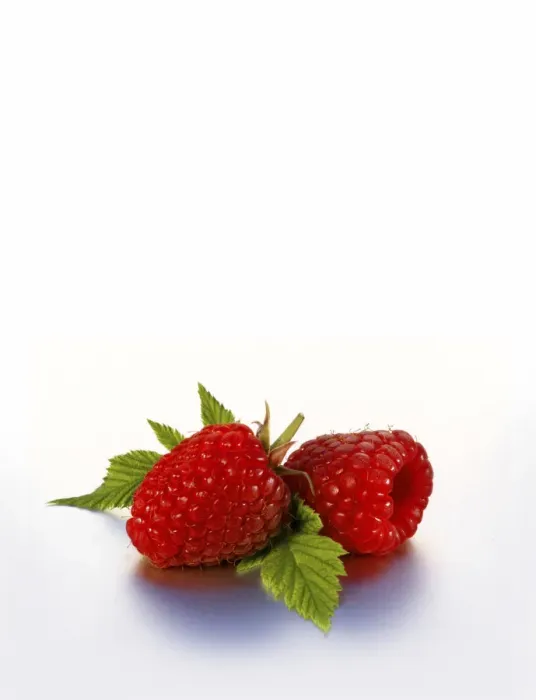 Framed Print : Two raspberries with leaves Framed Print : Two raspberries with leaves