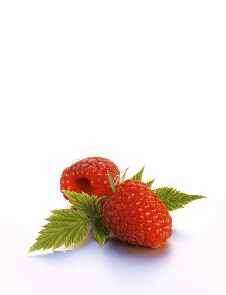 Two raspberries with leaves