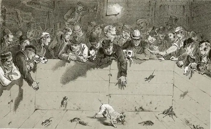 Framed Print : Rat-Catching Framed Print : Rat-Catching