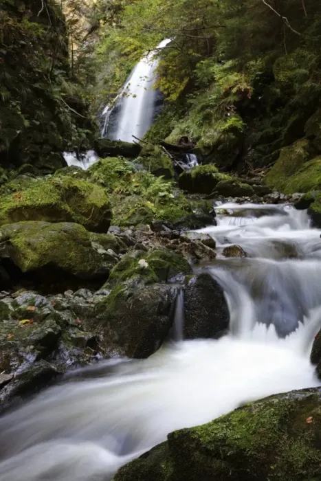 Framed Print : Ravennaschlucht gorge near Hinterzarten, Black Forest, Baden-Wuerttemberg, Germany, Europe Framed Print : Ravennaschlucht gorge near Hinterzarten, Black Forest, Baden-Wuerttemberg, Germany, Europe