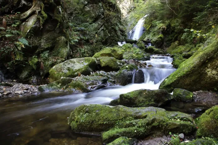 Framed Print : Ravennaschlucht gorge near Hinterzarten, Black Forest, Baden-Wuerttemberg, Germany, Europe Framed Print : Ravennaschlucht gorge near Hinterzarten, Black Forest, Baden-Wuerttemberg, Germany, Europe