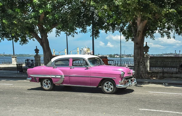 Real Cuban city life image with a pink vintage car riding by Havanas harbor