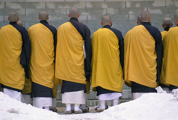 Rear View of a Group of Buddhist Monks