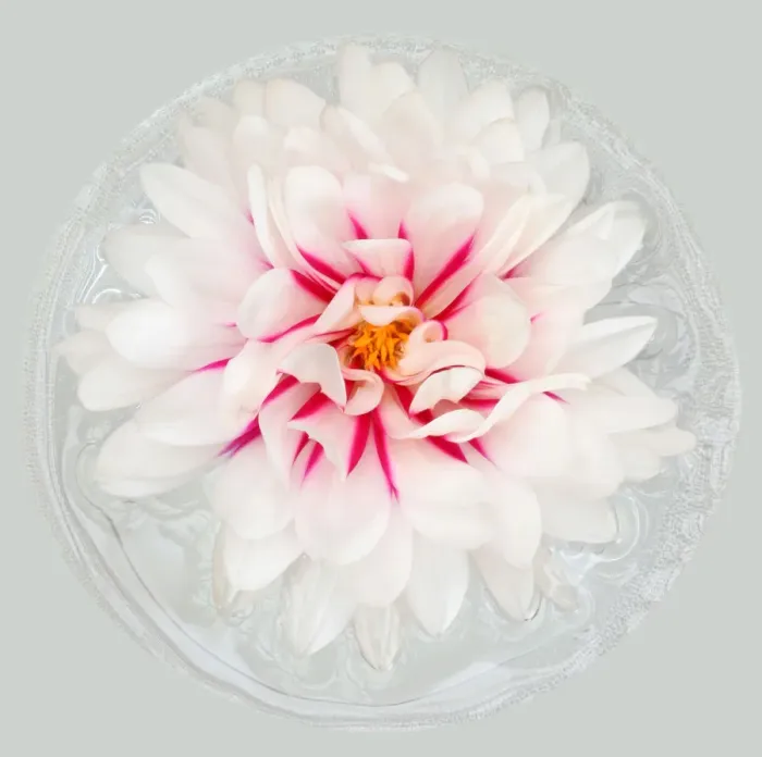 Framed Print : Rebeccas World Framed Print : Rebeccas World