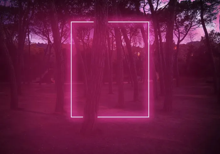 Framed Print : Rectangle red light neon between pine trees with futuristic visual effect Framed Print : Rectangle red light neon between pine trees with futuristic visual effect