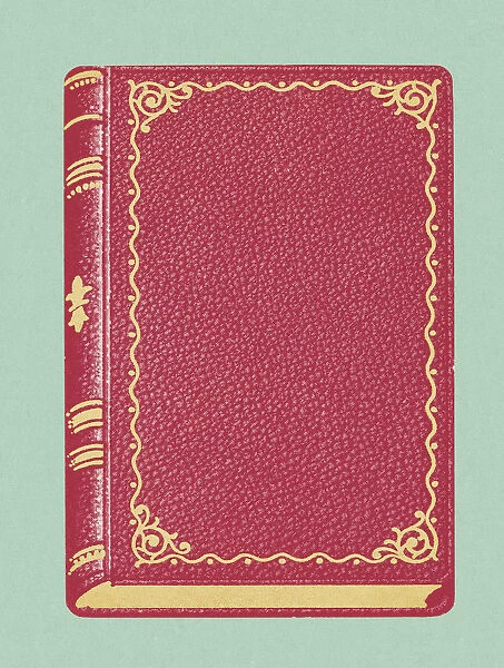 Red Book. http: /  / csaimages.com / images / istockprofile / csa_vector_dsp.jpg