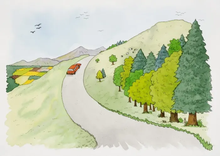 Framed Print : Red car ascending narrow country road on hill, flock of birds flying overhead and sheep grazing on surrounding fields, elevated view Framed Print : Red car ascending narrow country road on hill, flock of birds flying overhead and sheep grazing on surrounding fields, elevated view