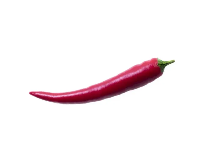 Framed Print : Red Chili Pepper -Capsicum- Framed Print : Red Chili Pepper -Capsicum-