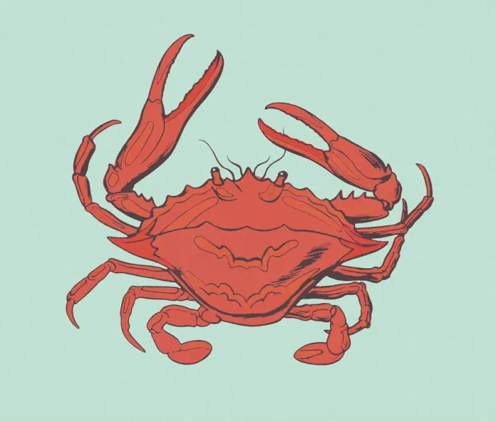 Framed Print : Red Crab. http: / / csaimages.com / images / istockprofile / csa_vector_dsp.jpg Framed Print : Red Crab. http: / / csaimages.com / images / istockprofile / csa_vector_dsp.jpg