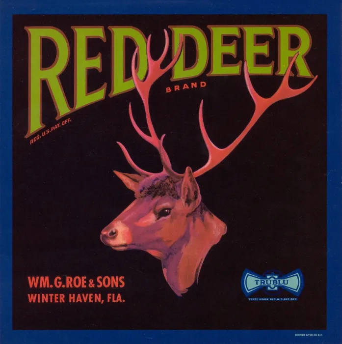 Framed Print : Red Deer Brand Framed Print : Red Deer Brand